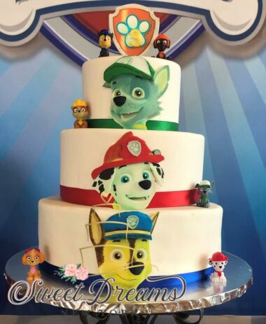 Paw-Patrol-Cake-Custom-Cake-NYC-Long-Island-Paw-Patrol-themed-wedding-party-birthday-cake-Sweet-Dreams-NY-New-York