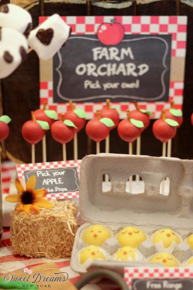Apple cake pops farm themed dessert table Long Island