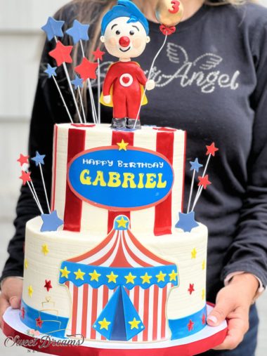 Circus Themed Cake Plim Plim the Clown birthday cake custom cake Icing Smiles