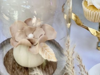 Elegant bridal shower Nude neutral and gold cake pops bridal shower dessert table pampas NYC Long Island