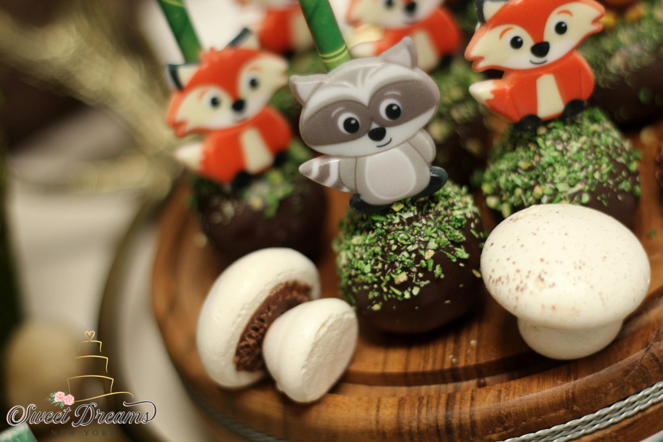 Woodland Animal Cake Pops Meringue Mushrooms NYC Long Island First Birtday Cake Ideas Forest Animal Themed forest Baby shower ideas