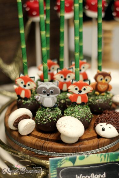 Woodland Animal Cake Pops Meringue Mushrooms NYC Long Island First Birtday Cake Ideas Forest Animal Themed forest Fox Cake pops