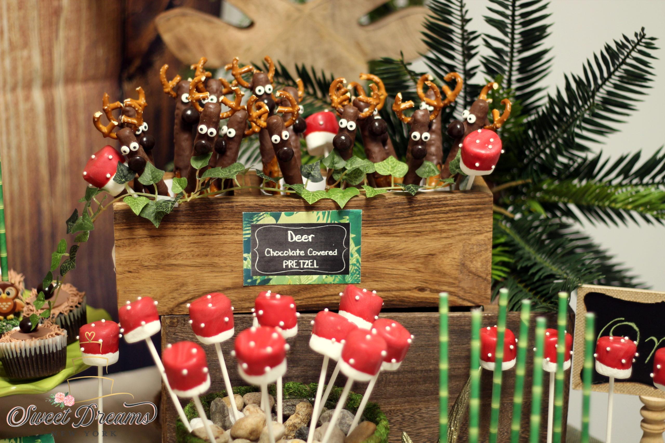 Woodland Forest Animal Rustic Dessert Table Ideas NYC Long Island Kosher Sweet Dreams NY Cakes